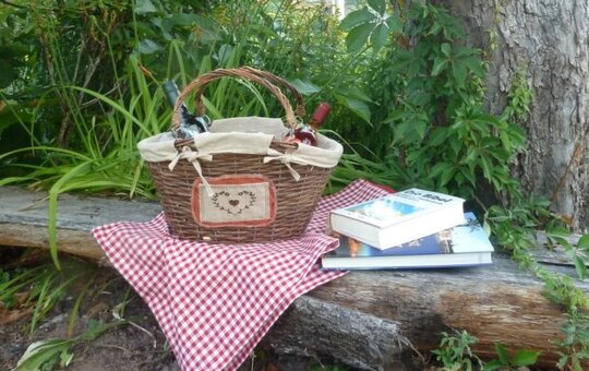 Picknick im Grünen mit Bibel