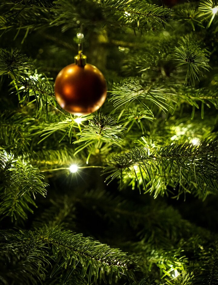 Weihnachtsbaum mit Kugel