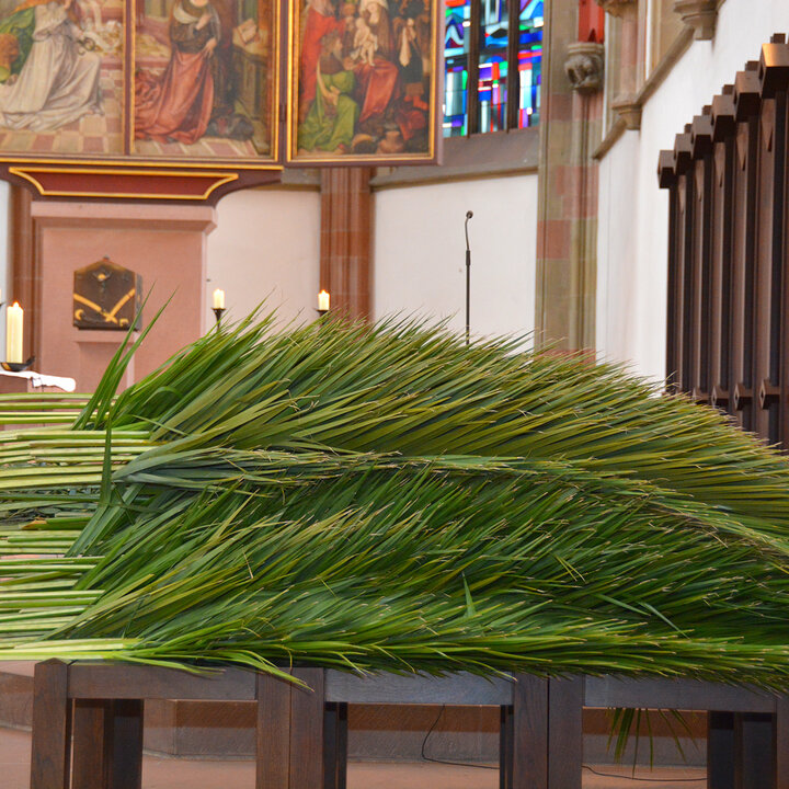 Palmzweige in der Würzburger Marienkapelle Palmzweige in der Würzburger Marienkapelle