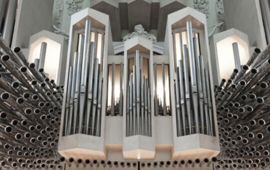 Domorgel Kiliansdom Würzburg 