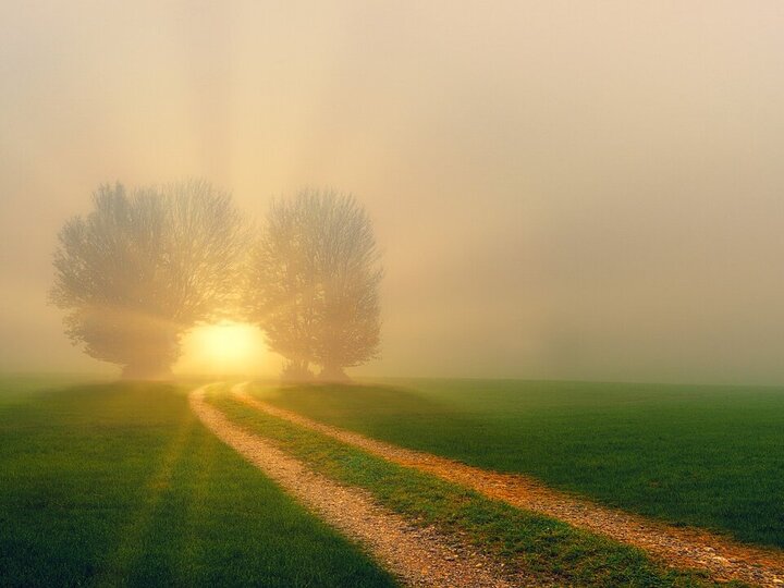 Die Sonne strahlt durch Nebel und Bäume am Ende eines Feldwegs