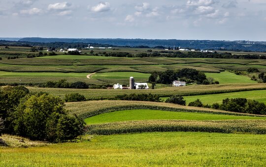 Grüne Landschaft. 
